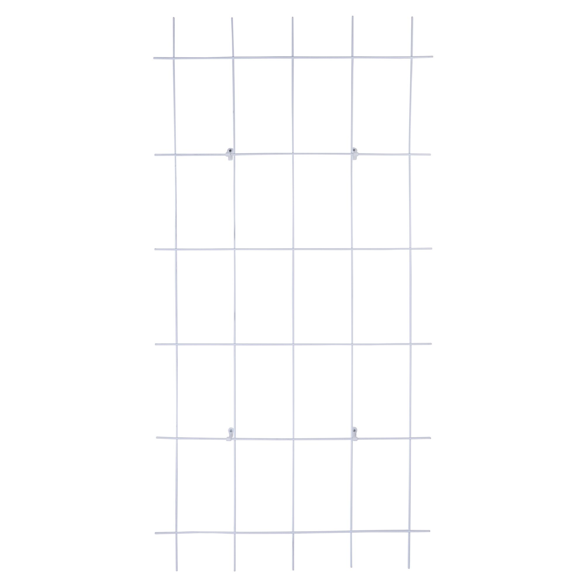 Weißes Spalier, 5-strebig