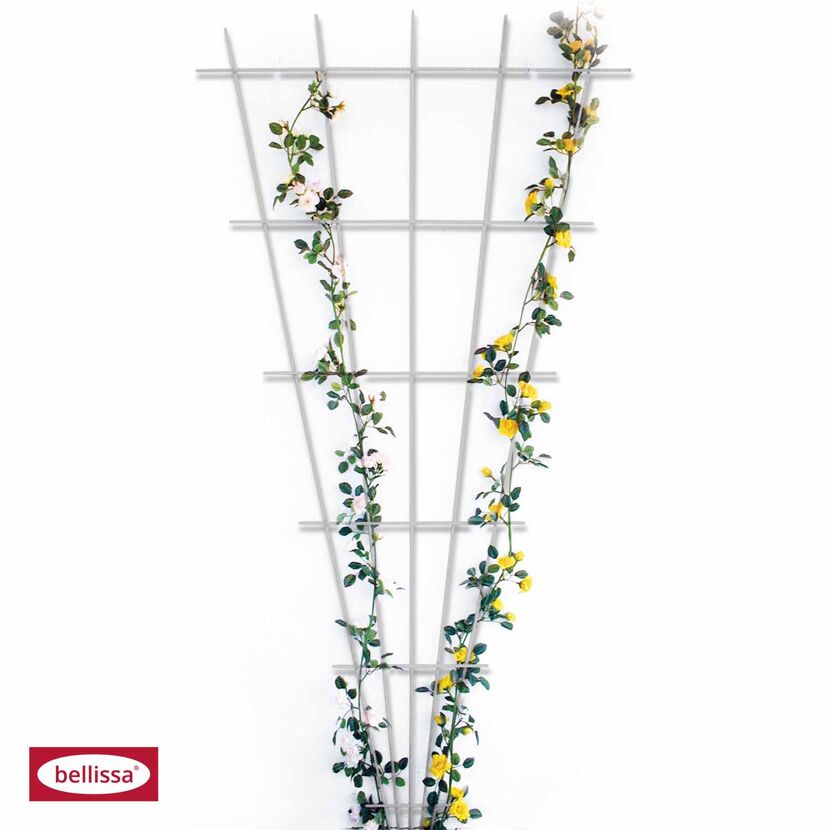 Weißes Rosenspalier mit gelben und weißen Rosen