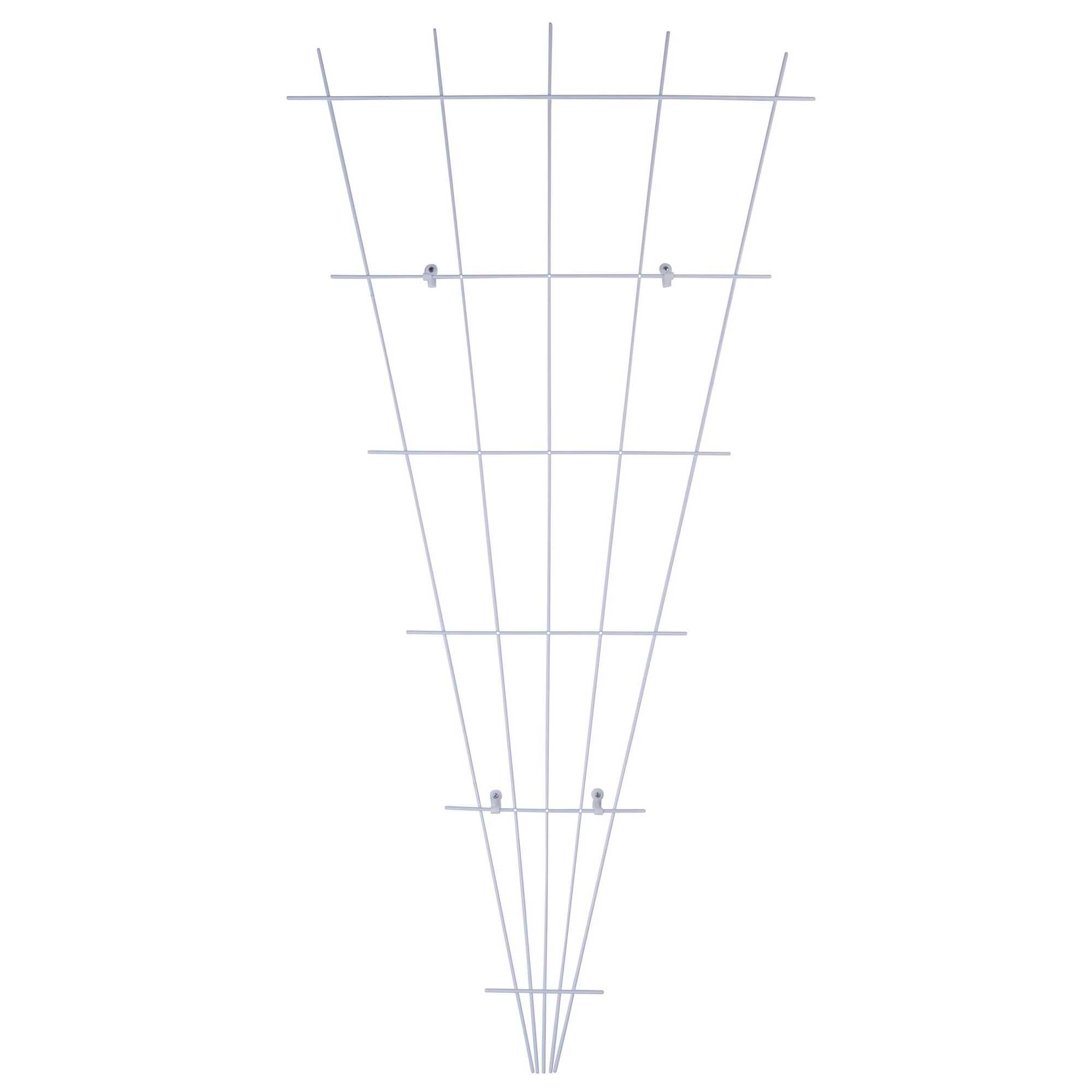 Weißes Rosenspalier in Fächerform