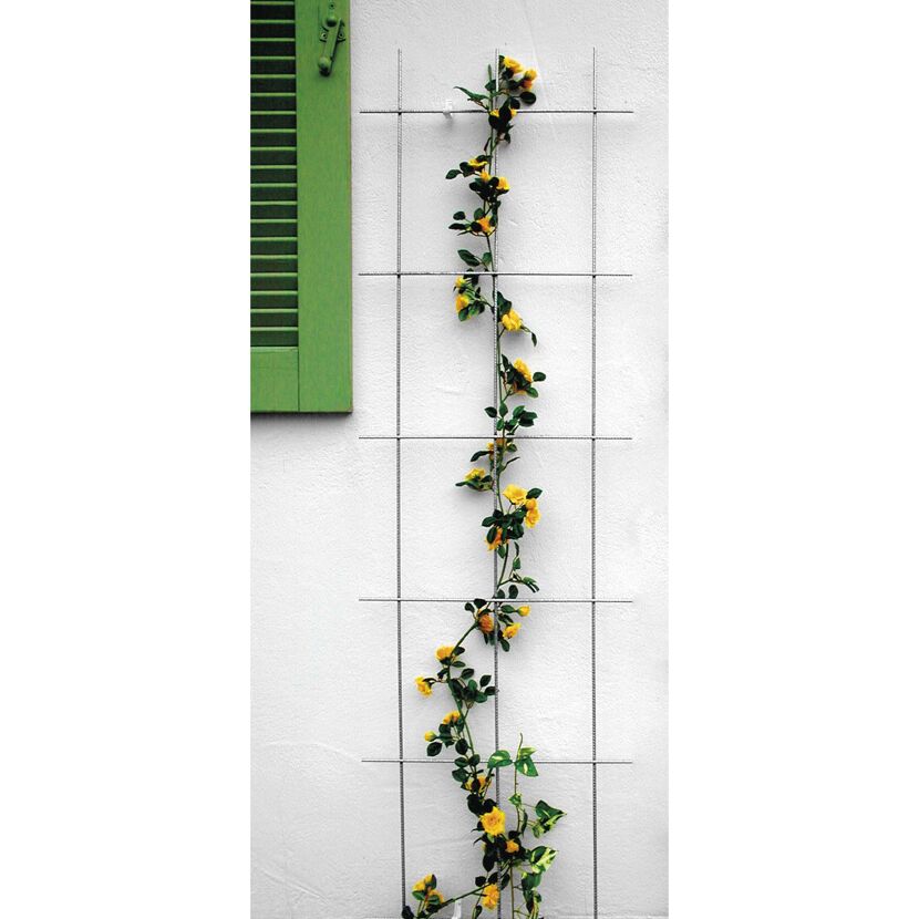 Gelbe Rosen ranken an einem Spalier hoch.