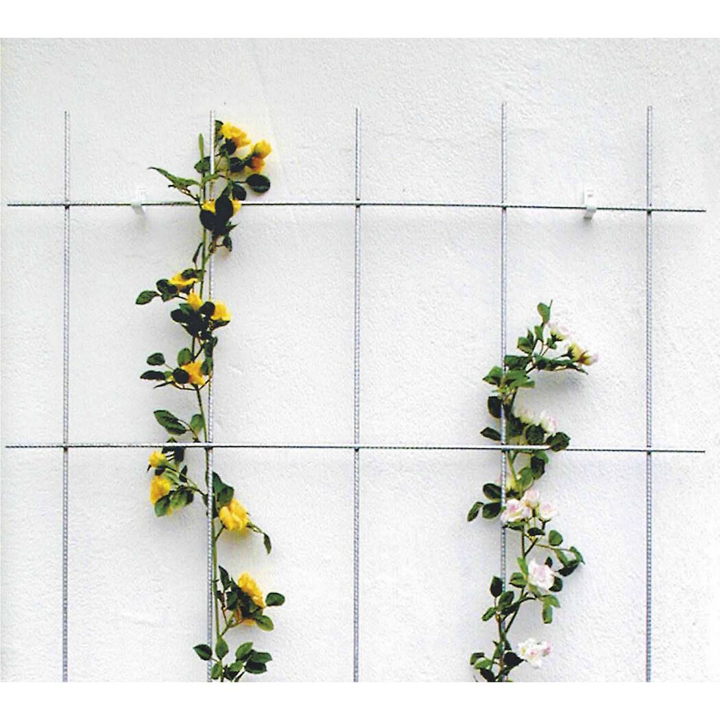 Rankgitter an weißer Wand mit gelben und weißen Rosen