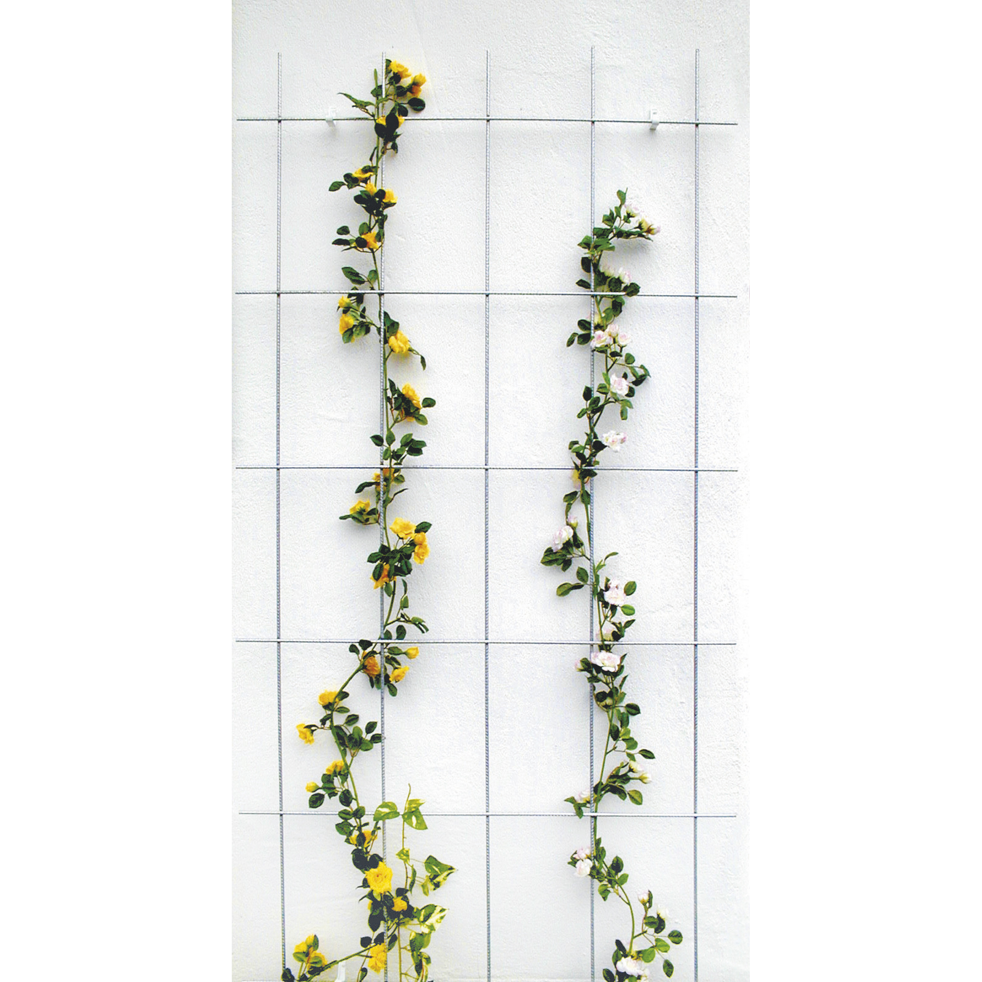 Gitterspalier silbern Zink-rip 75 x 150 cm, 5-strebig + product picture