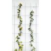 Rankhilfe mit gelben und weißen Blüten