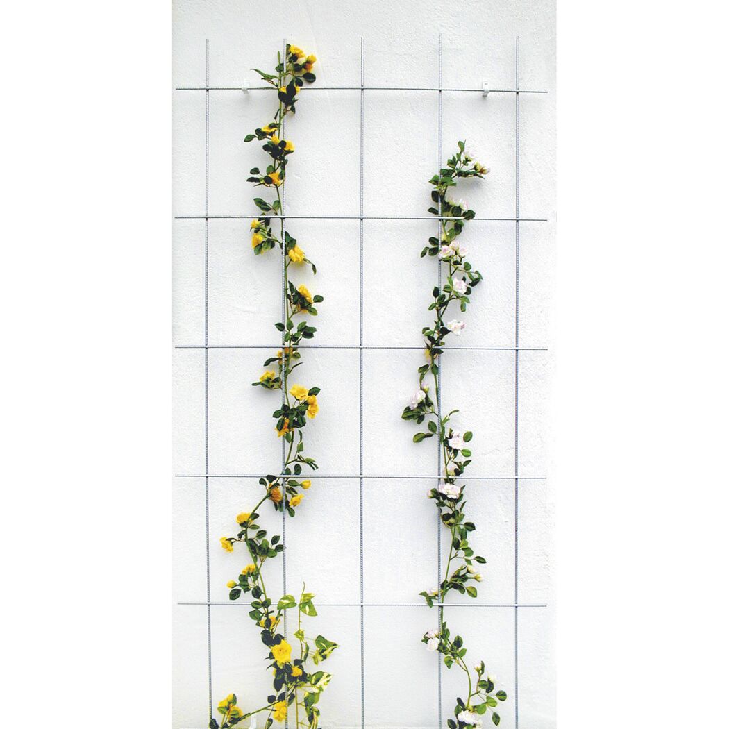 Rankhilfe mit gelben und weißen Blüten