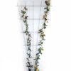 Rosenspalier mit gelben und rosa Rosen