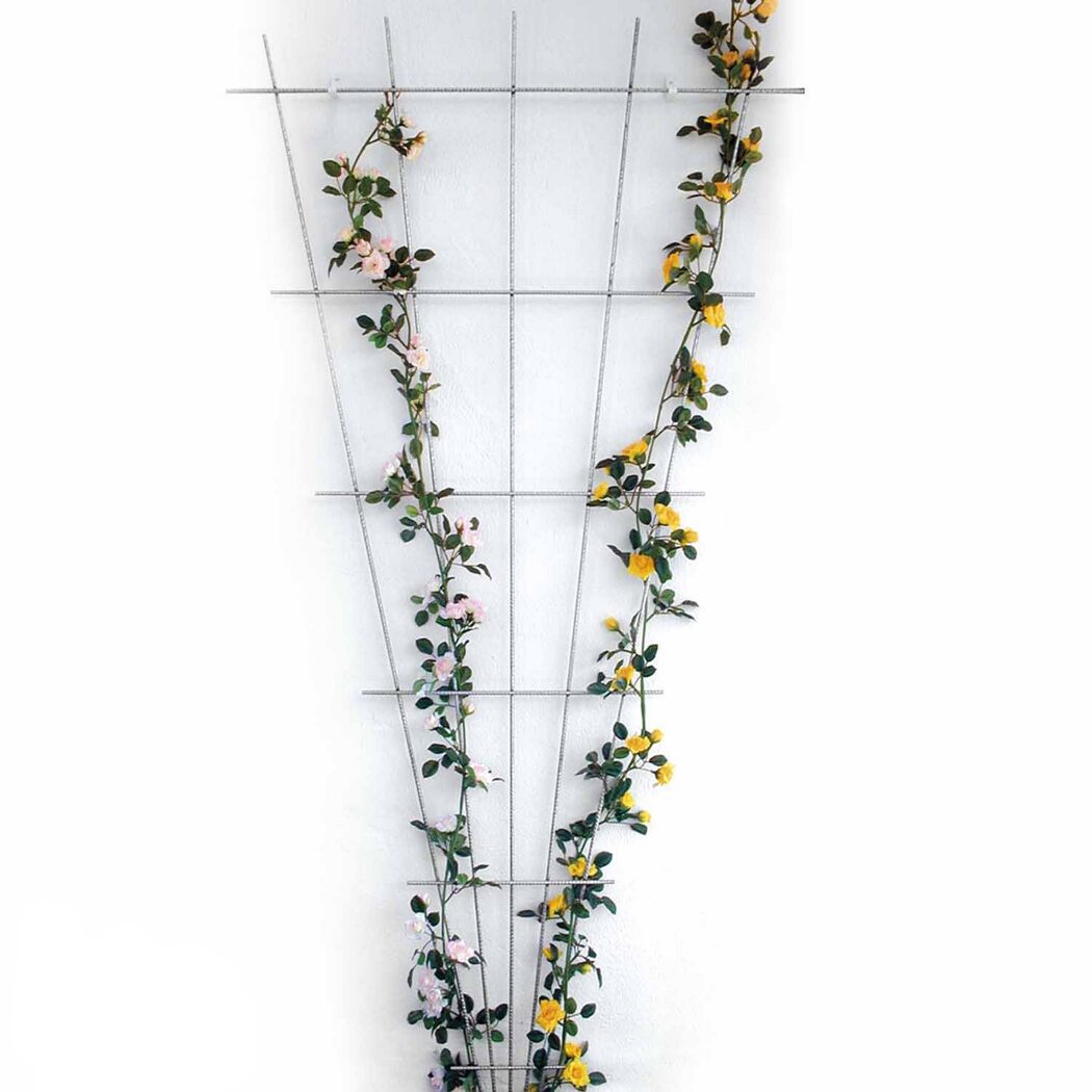 Rosenspalier mit gelben und rosa Rosen