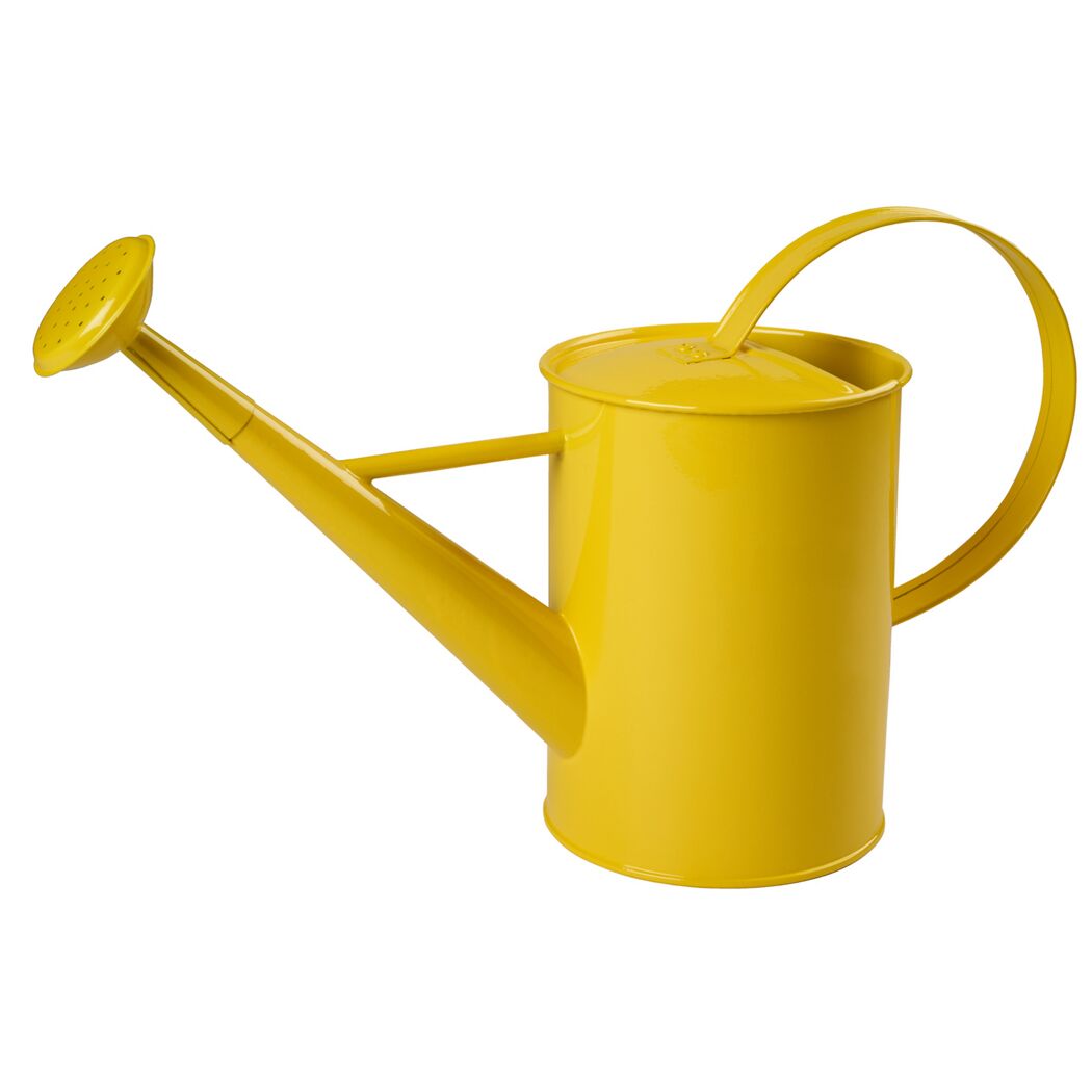 Kinder-Gießkanne Metall 1,75 l