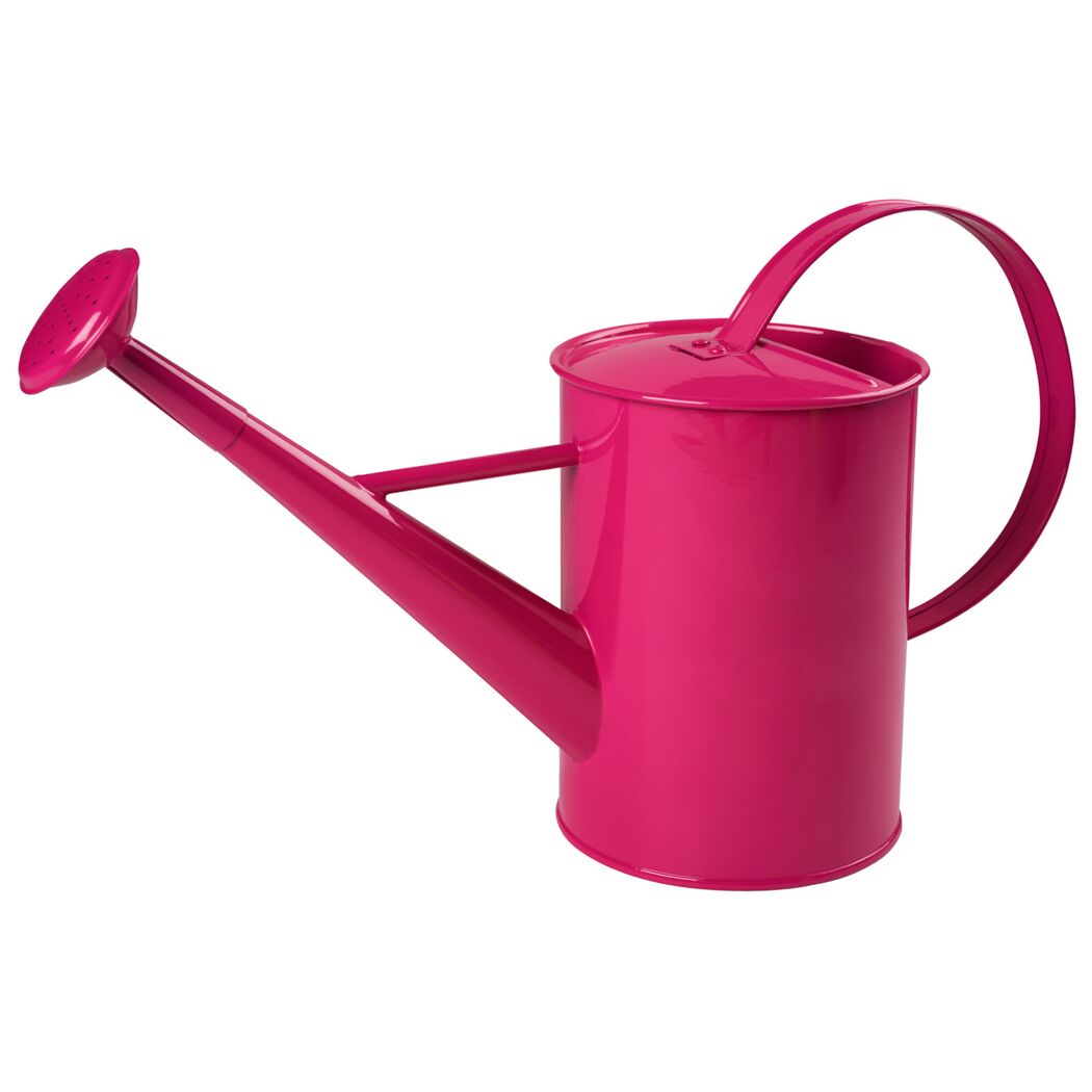 Kinder-Gießkanne Metall 1,75 l