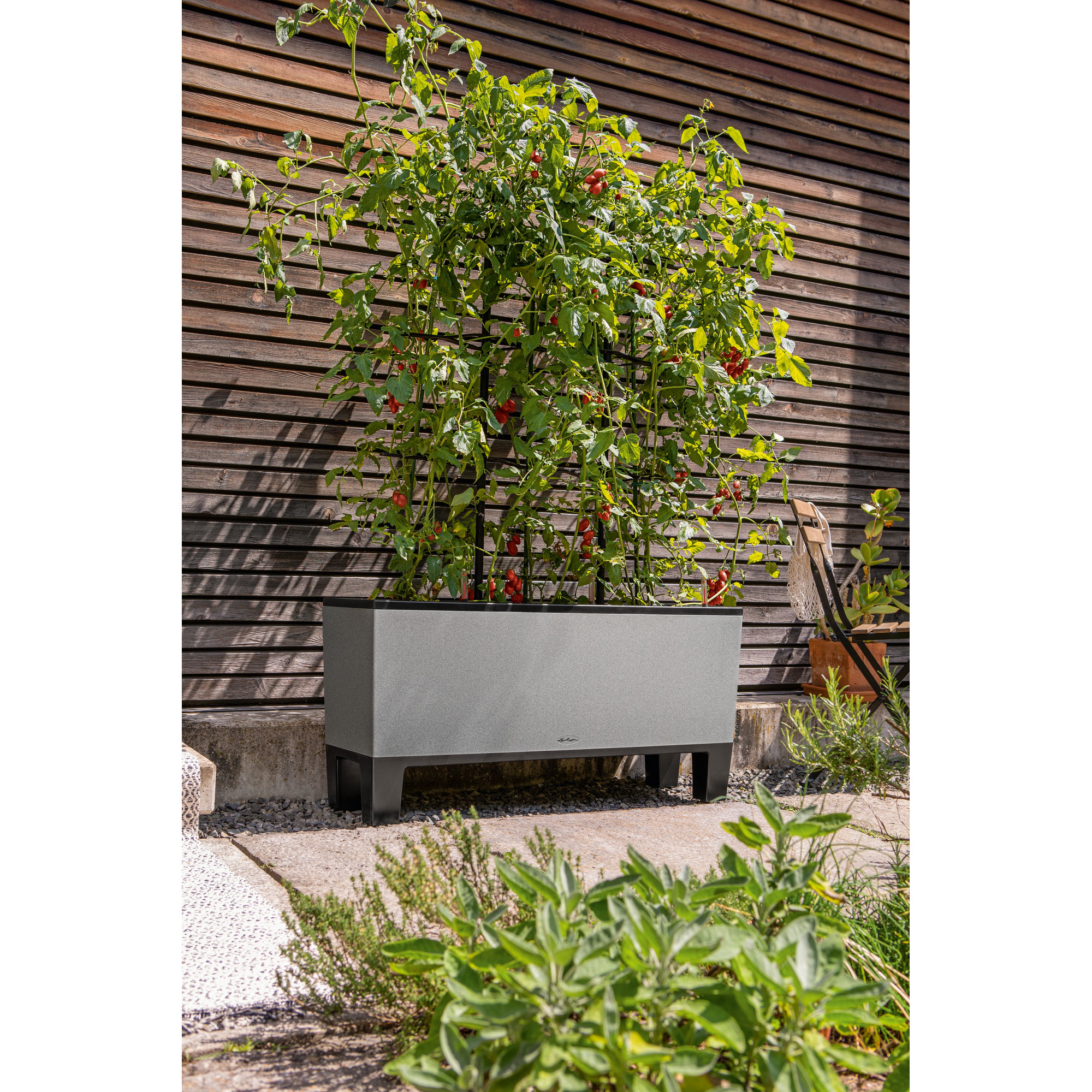 Hochbeet Trio Stone 40 steingrau mit Tomatenpflanze