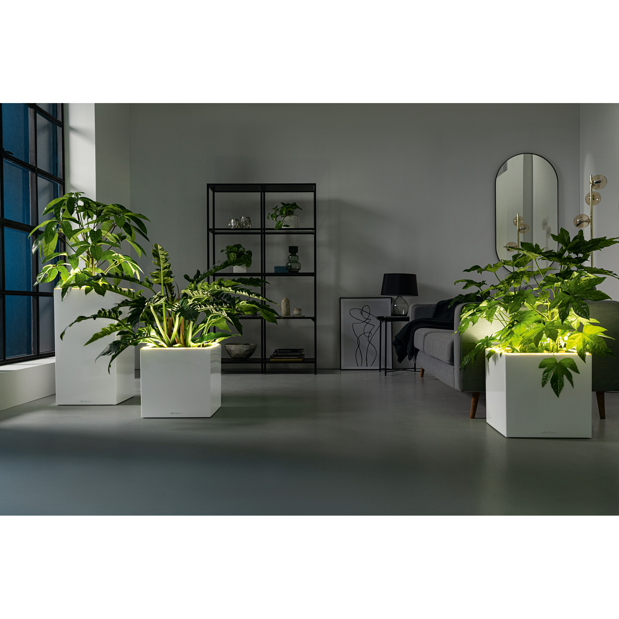 Pflanzgefäß 'CANTO Premium 40 low LED' Kunststoff weiß hochglanz 40 x 40 x 40 cm + product picture