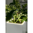 Verkleinertes Bild von Pflanzgefäß 'CANTO Premium 40 high LED' Kunststoff weiß hochglanz 40 x 75 x 40 cm