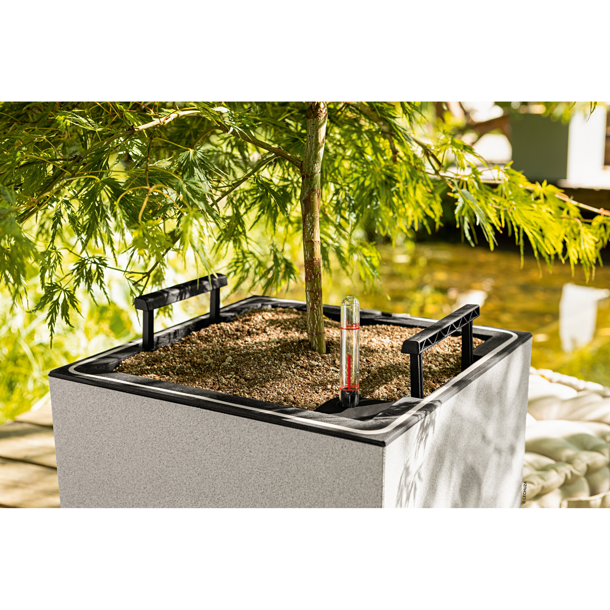 Pflanzgefäß 'CANTO Stone 30 low LED' Kunststoff steingrau 30 x 30 x 30 cm
