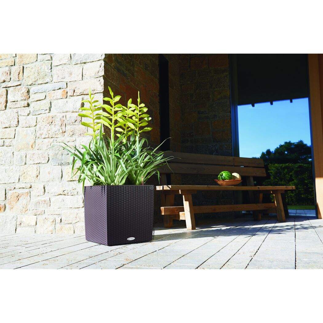 Brauner Übertopf Cube Cott. mit Pflanze