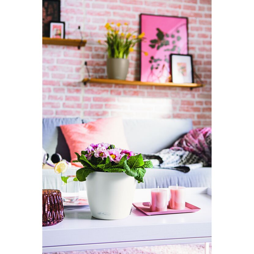 Weißer Übertopf Classico mit rosa Primeln