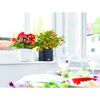 Zwei Übertöpfe mit Blumen auf einer Fensterbank