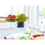 Zwei Übertöpfe mit Blumen auf einer Fensterbank