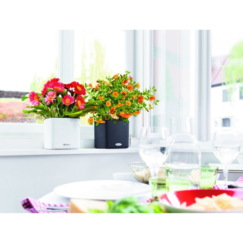 Zwei Übertöpfe mit Blumen auf einer Fensterbank