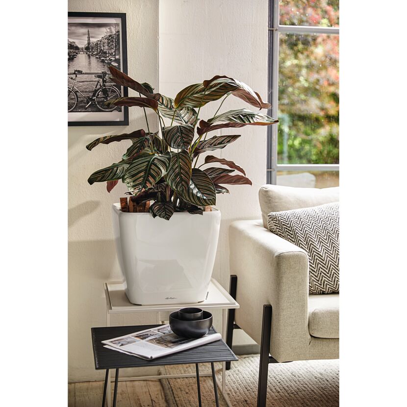 Pflanzgefäß 'QUADRO Premium LS 21' Kunststoff weiß Ø 22 x 20,5 cm
