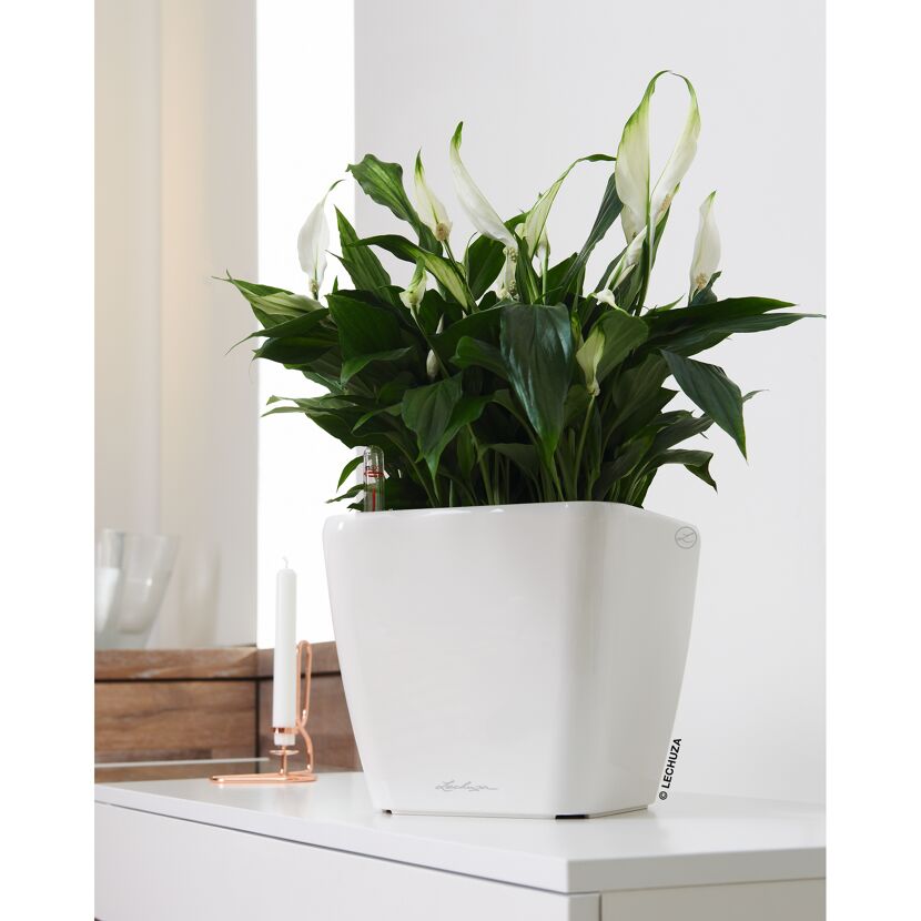 Pflanzgefäß 'QUADRO Premium LS 21' Kunststoff weiß Ø 22 x 20,5 cm