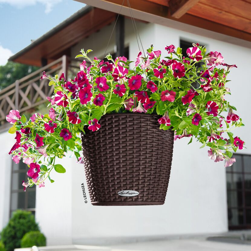 Hängende braune LECHUZA-Blumenampel mit pinken Blumen