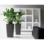 Pflanzgefäß 'CUBICO Premium 30' Kunststoff anthrazit-metallic 56 x 30 x 30 cm