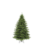 Verkleinertes Bild von Weihnachtsbaum 'Sherwood' deluxe green 155 cm