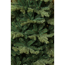 Verkleinertes Bild von Weihnachtsbaum 'Sherwood' deluxe green 155 cm