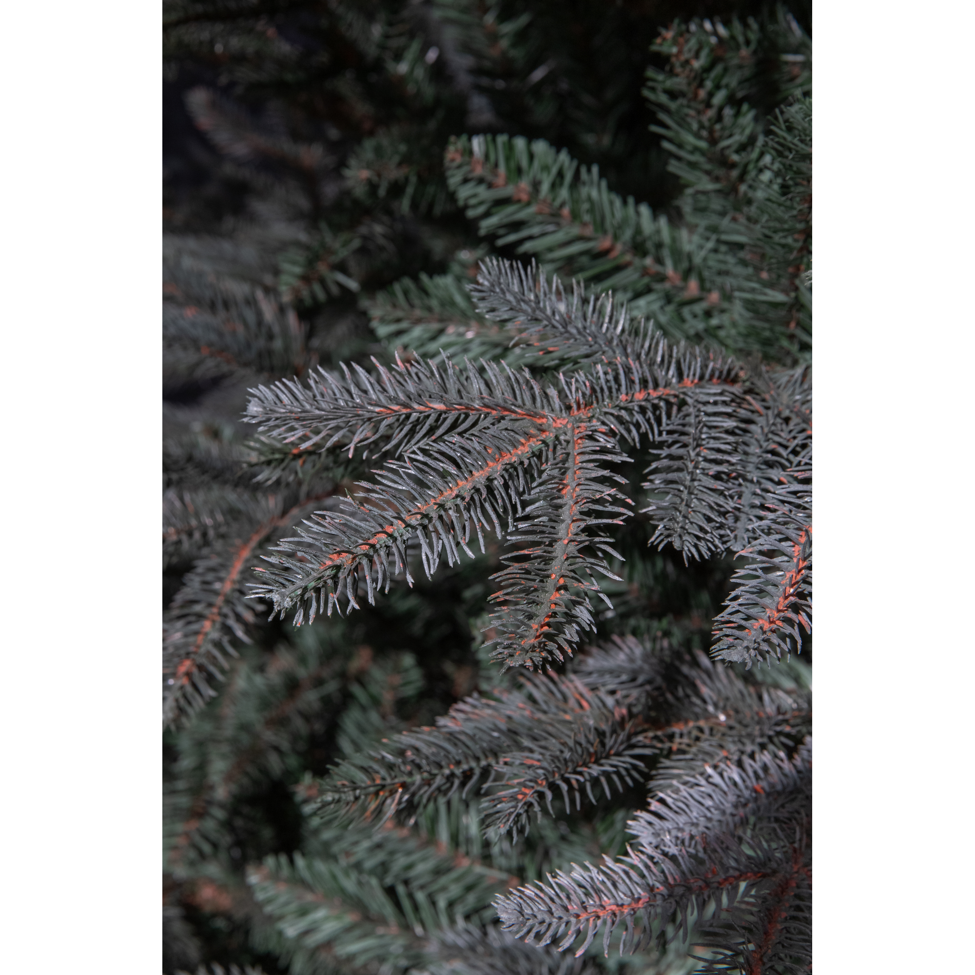 Künstlicher Weihnachtsbaum 'Fraiser' grün 185 cm + product picture