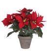 hauptbild