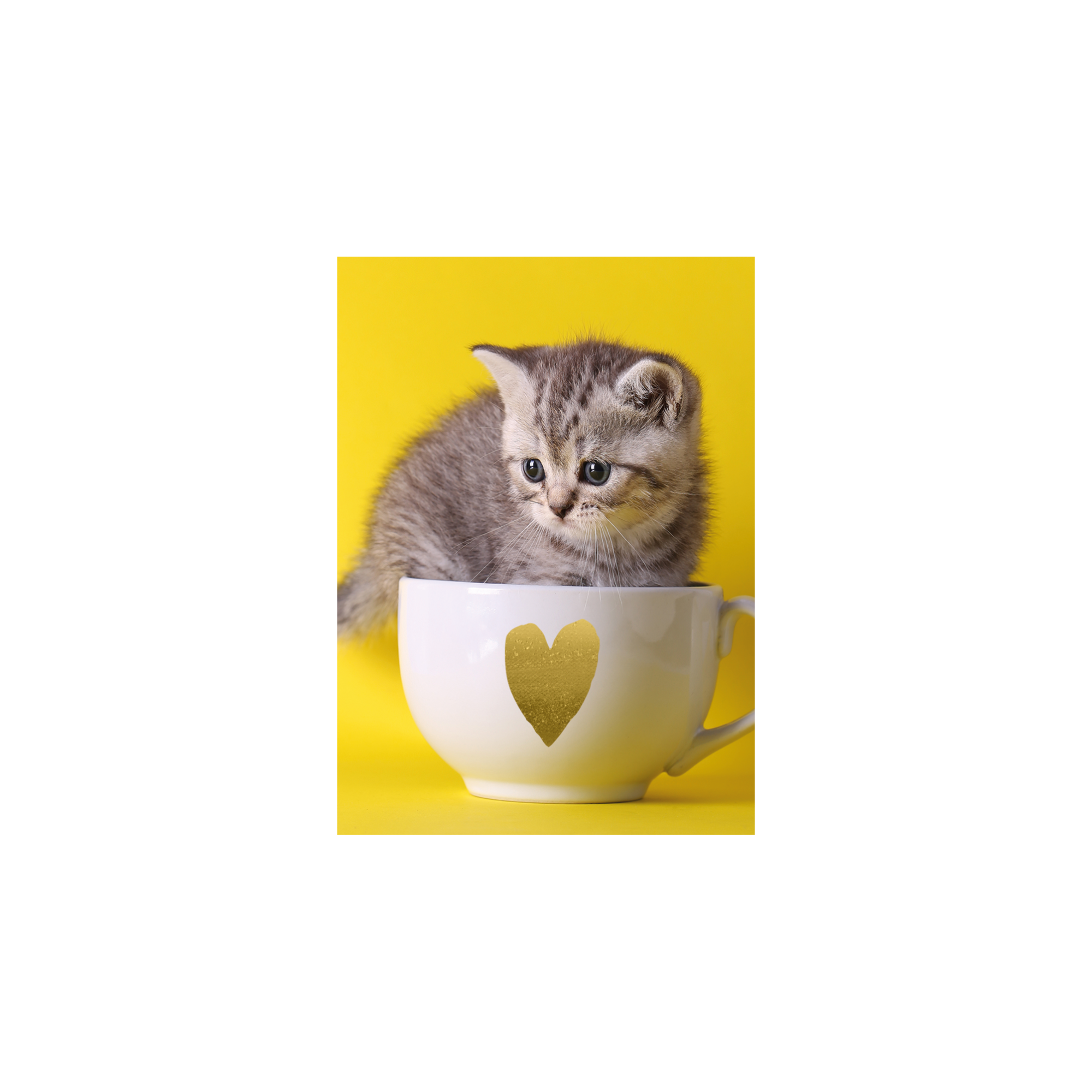 Mini-Grußkarte Katze in Tasse + product picture