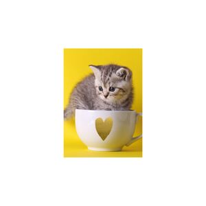Mini-Grußkarte Katze in Tasse