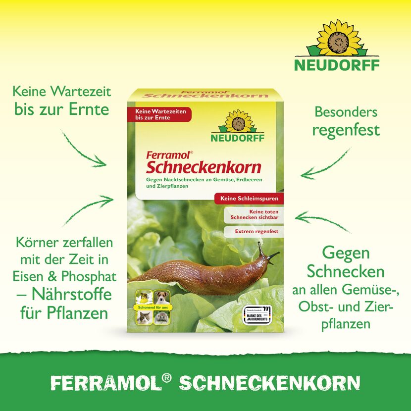 Ferramol Schneckenkorn 2 kg