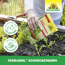 Schneckenkorn 'Ferramol' 2 kg