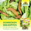 Schneckenkorn 'Ferramol' 2 kg