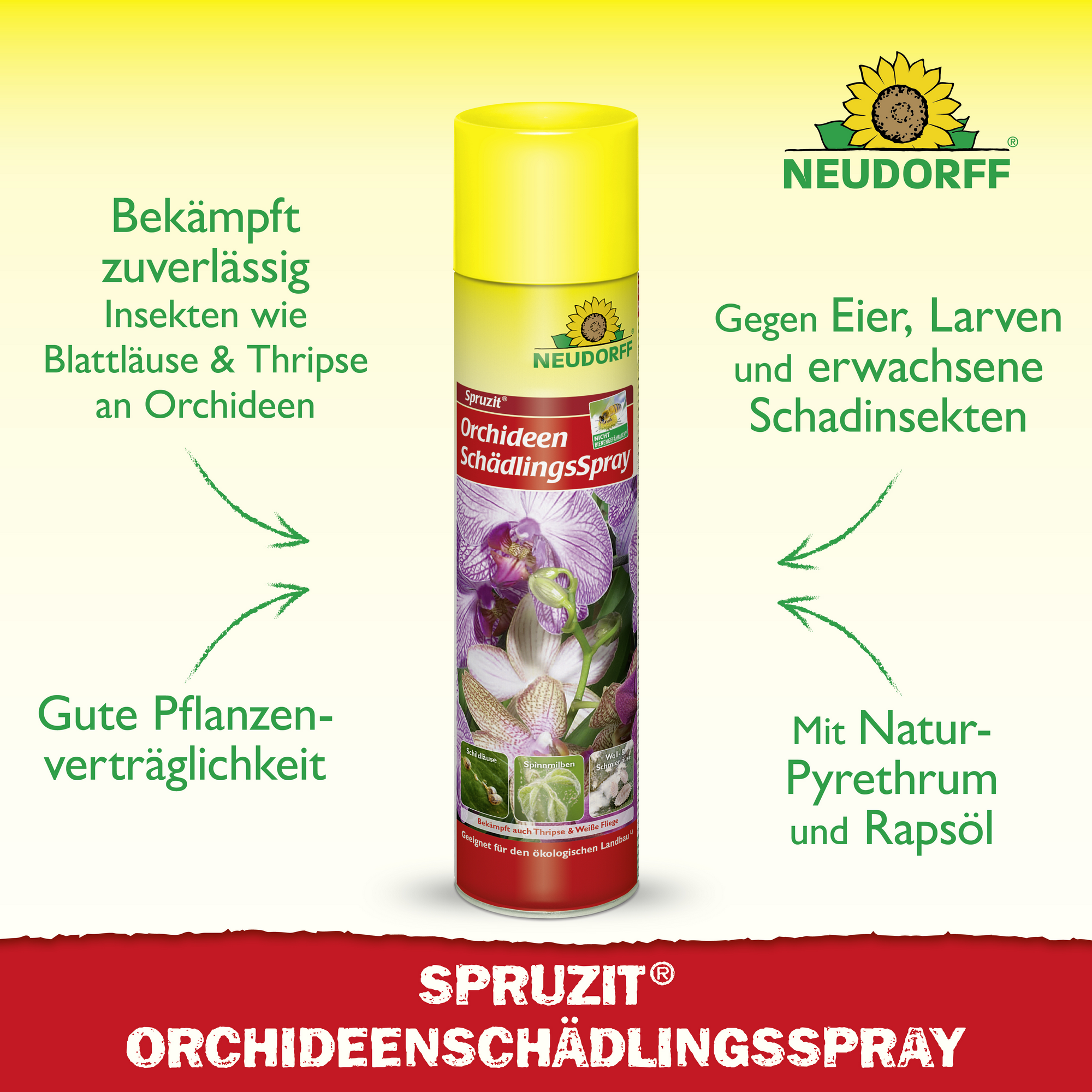 Spruzit Orchideen-Schädlingsspray 300 ml