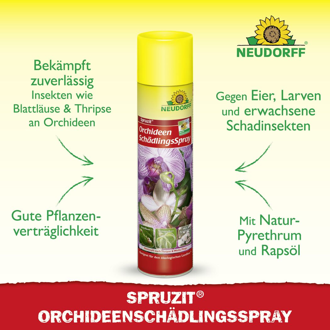 Spruzit Orchideen-Schädlingsspray 300 ml