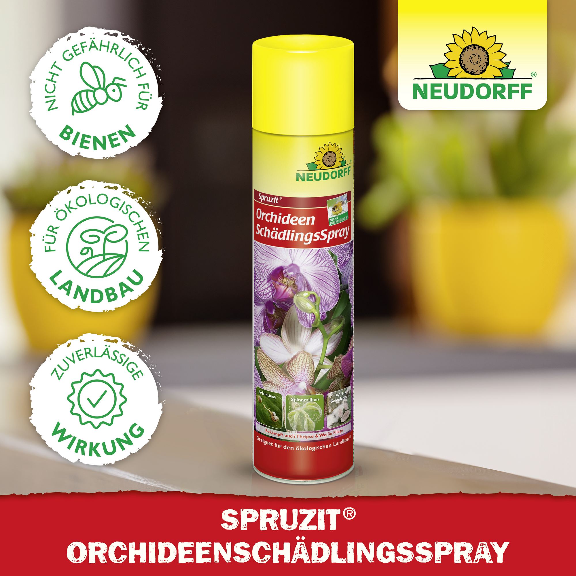Spruzit Orchideen-Schädlingsspray 300 ml
