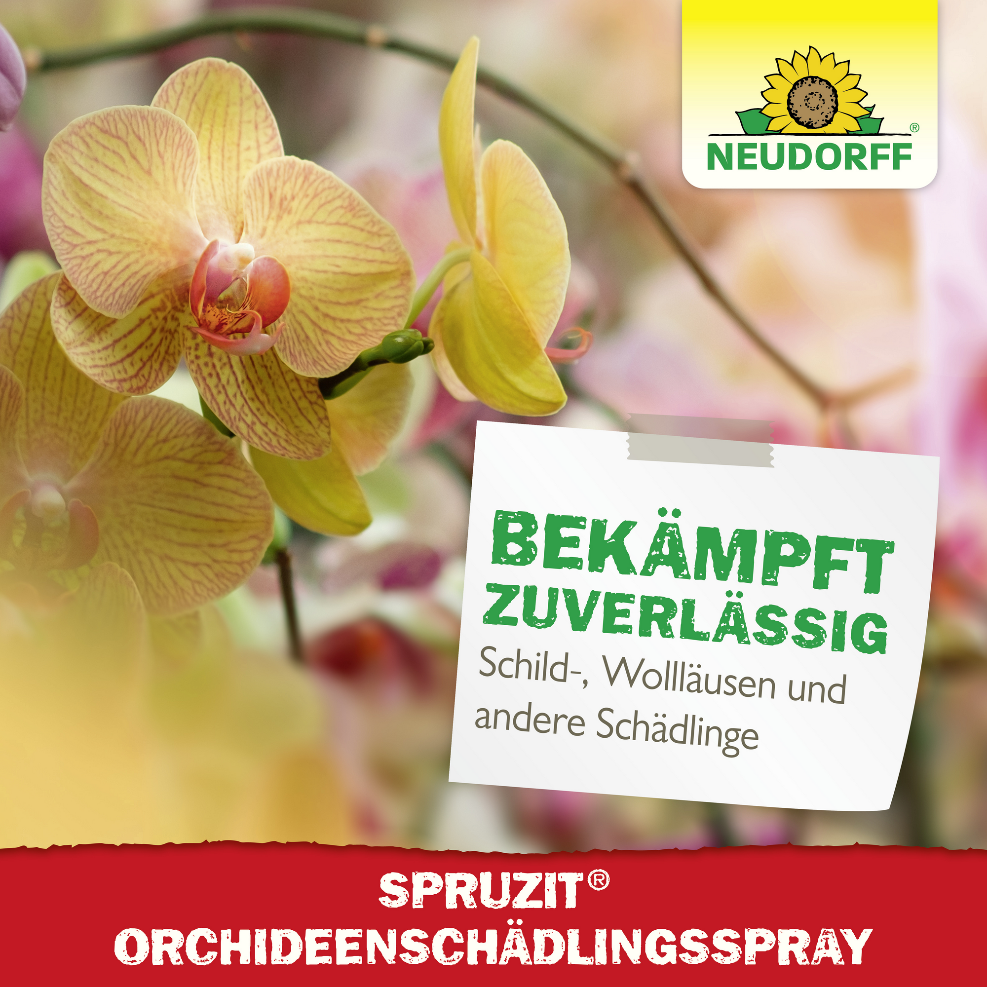 Spruzit Orchideen-Schädlingsspray 300 ml