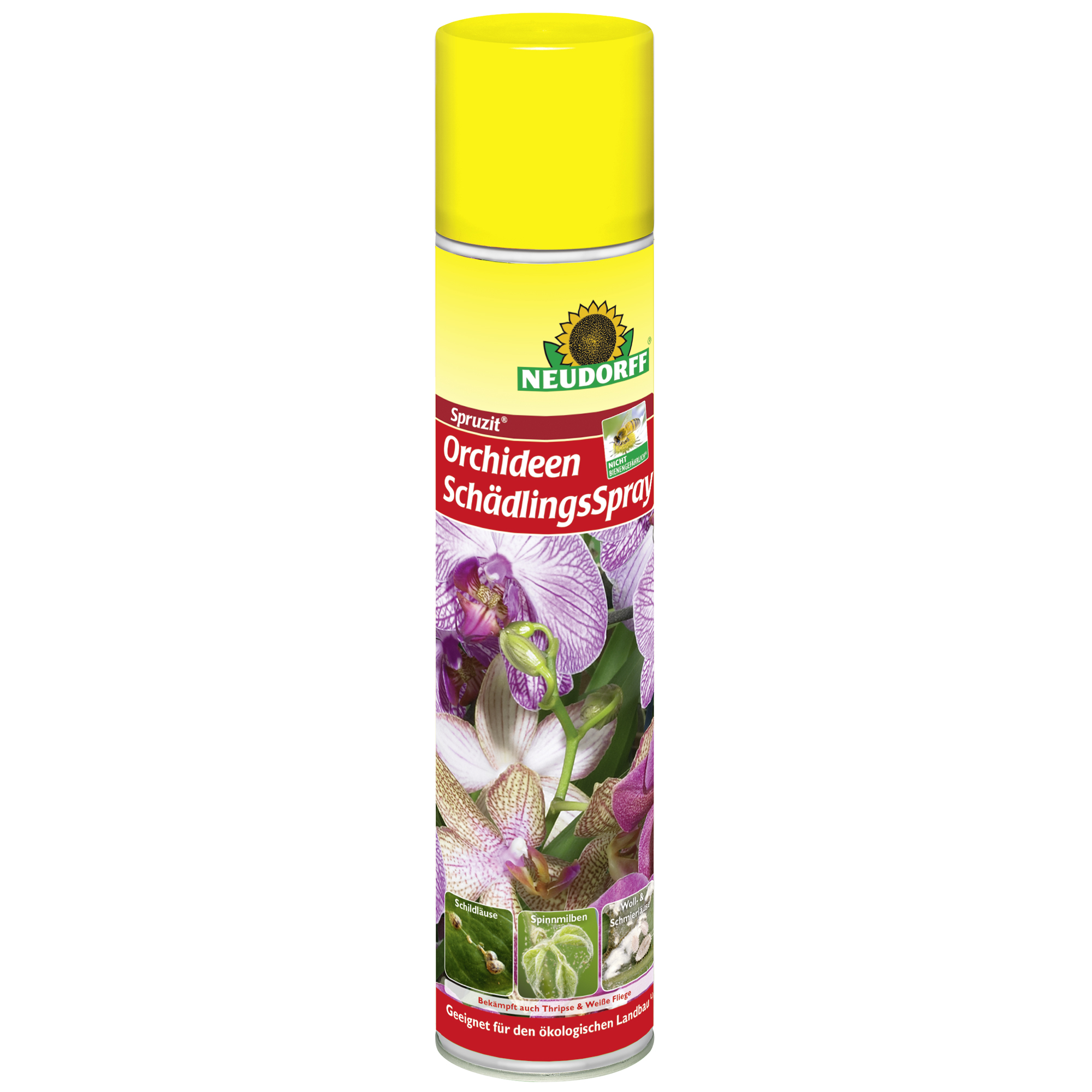 Spruzit Orchideen-Schädlingsspray 300 ml + product picture