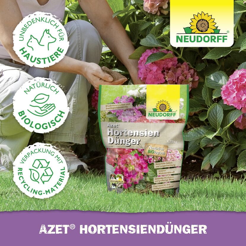 Hortensiendünger 'Azet' 1,75 kg