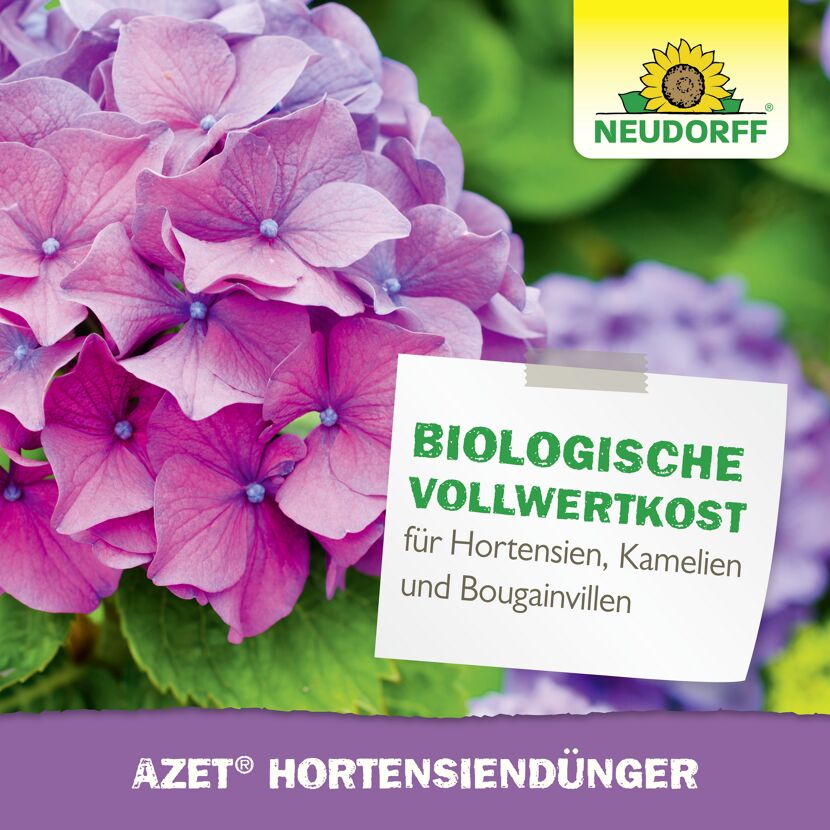 Hortensiendünger 'Azet' 1,75 kg