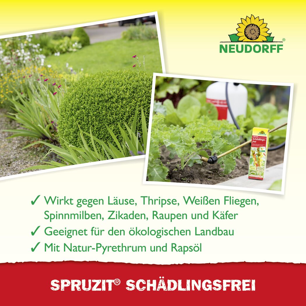 Spruzit Schädlingsfrei 250 ml