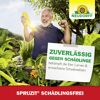 Spruzit Schädlingsfrei 250 ml