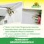 Permanent Wespen-Turbospray 500 ml
