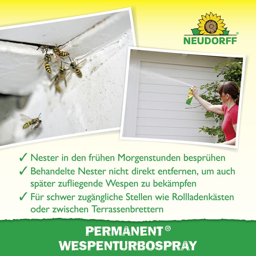 Permanent Wespen-Turbospray 500 ml
