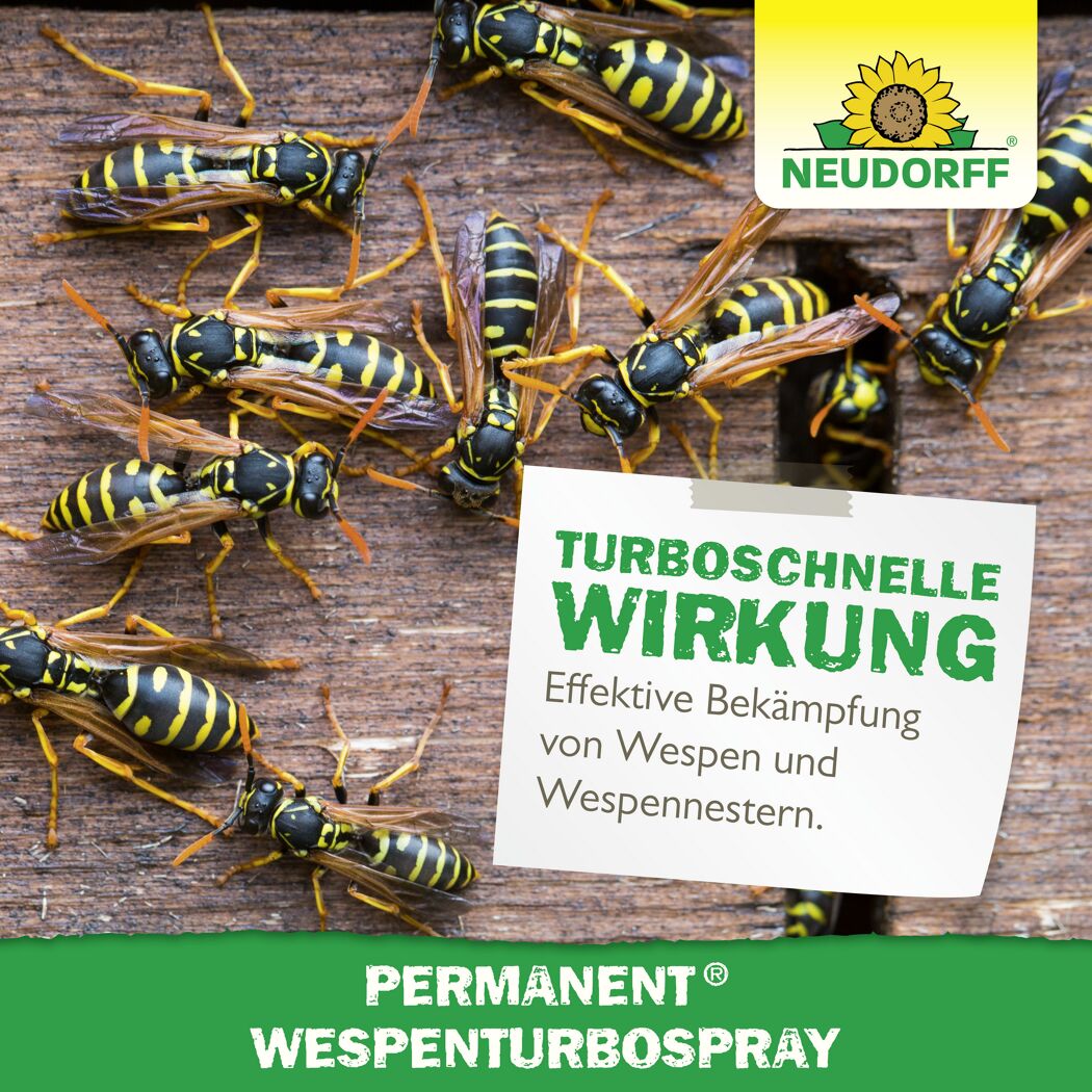 Permanent Wespen-Turbospray 500 ml