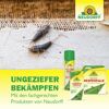 Permanent Wespen-Turbospray 500 ml