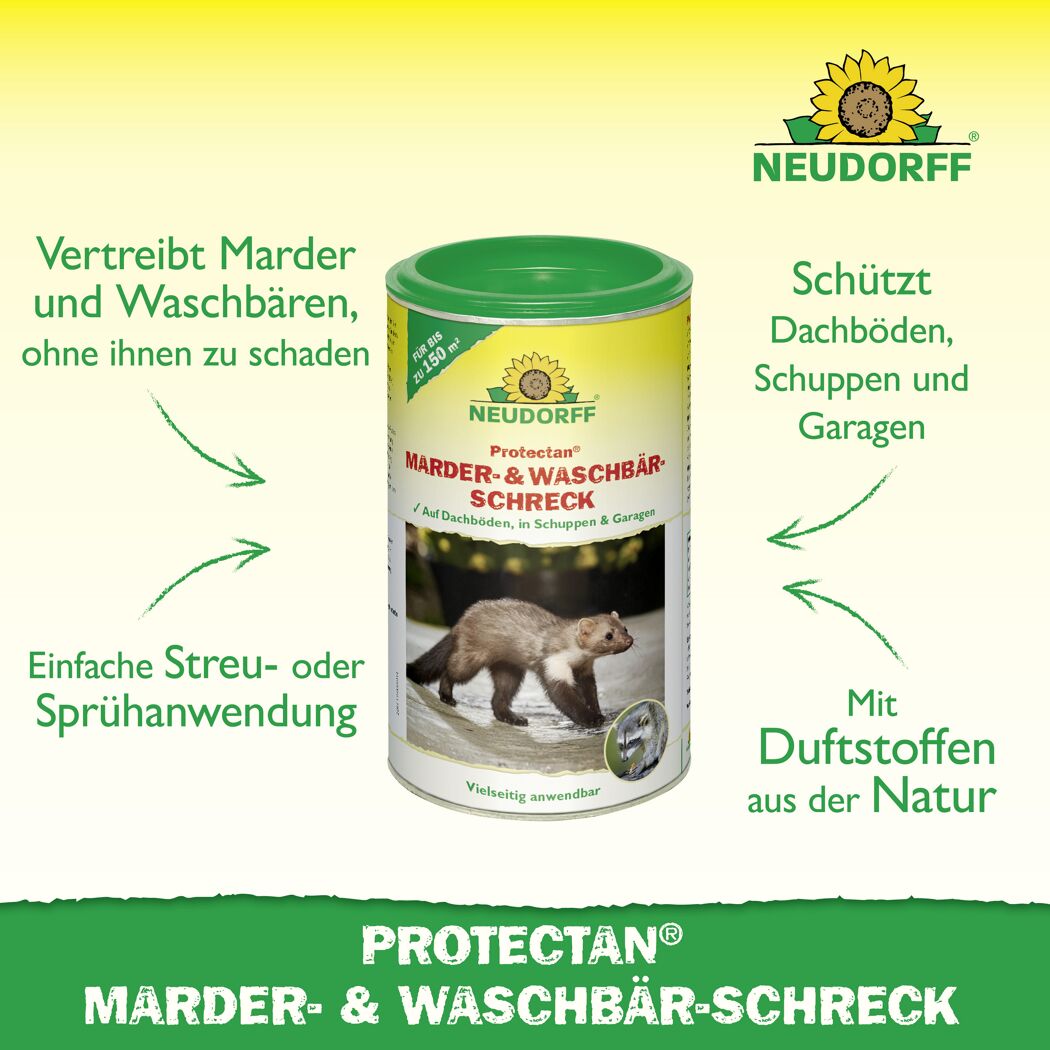 Protectan Marder- und Waschbärschreck 300 g