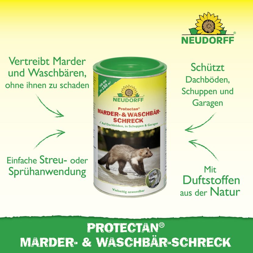 Protectan Marder- und Waschbärschreck 300 g