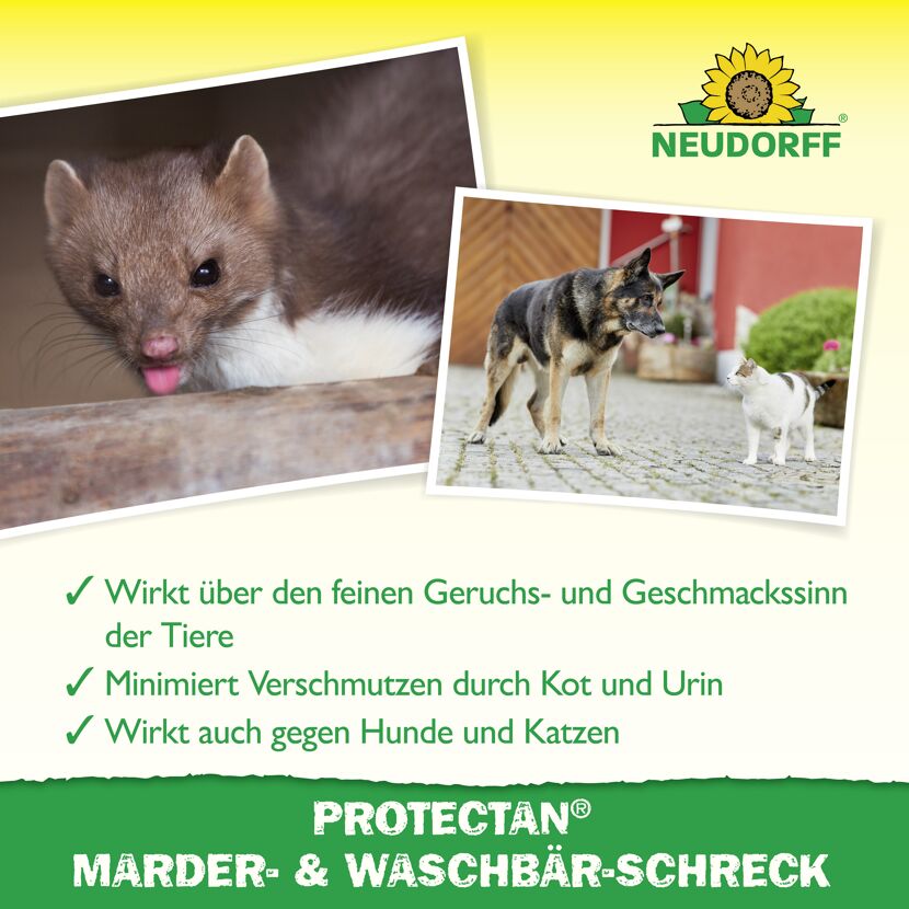 Protectan Marder- und Waschbärschreck 300 g